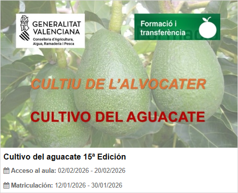 CULTIVO DEL AGUACATE 15ª Edición (del 02.02.2026 al 20.02.2026)